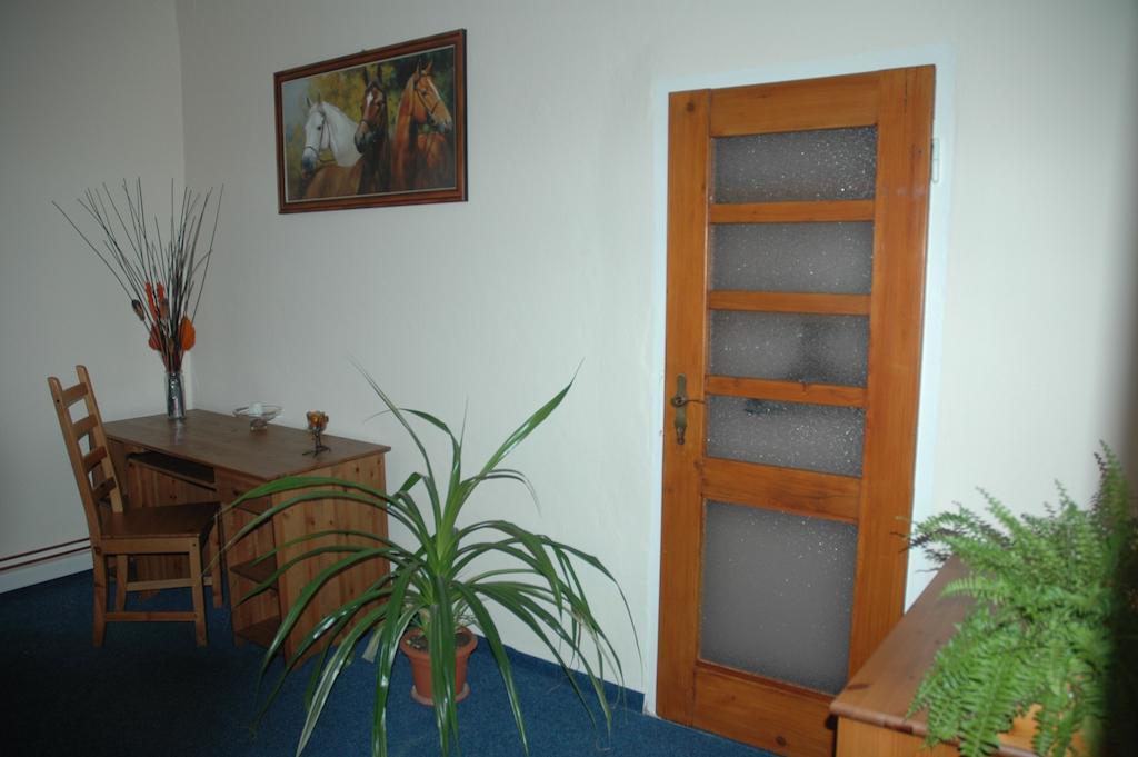 Hotel Mrazek パルドゥビツェ 部屋 写真